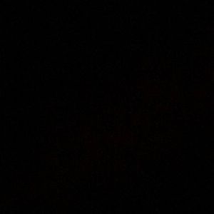 Meet your Posher, Celeste